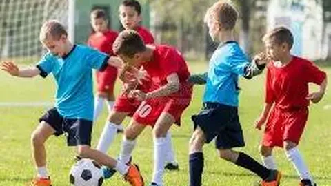 梨乡体育荣获国家级荣誉再升级